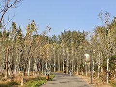 -东郊湿地公园