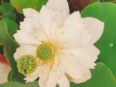 -上海植物园-4号门售票处