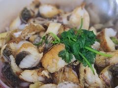 -深圳柯记餐厅(大望店)