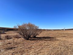 -塞罕坝国家级自然保护区