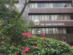 -香港大学