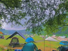 -武陵山森林公园