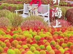 -花开海上生态园
