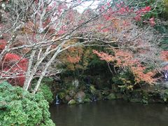 -醍醐寺