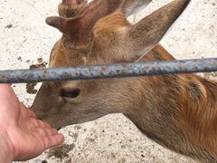 -祥源·阜阳生态乐园