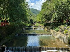 -广州白江湖森林公园