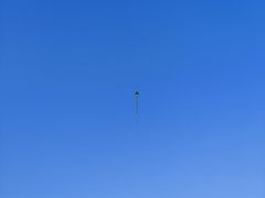 -哈尔滨大剧院