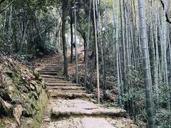 -杭州植物园