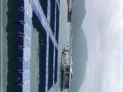 -东山码头