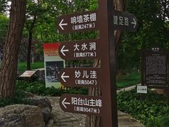 -阳台山自然风景区