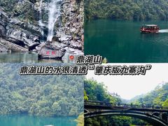 -鼎香皇高佬苏裹蒸粽