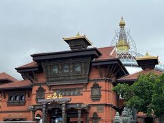 -霞姐屯昌枫木香草鸭店(海螺店)