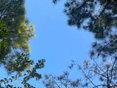 -美兰湖景区
