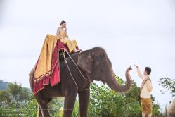 -四叶草环球旅拍