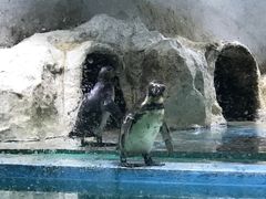 -北戴河圣蓝海洋公园