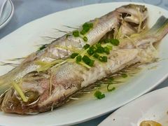 蒸马头鱼-罗记家常菜(鸿景花园店)