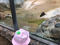 -昆明动物园
