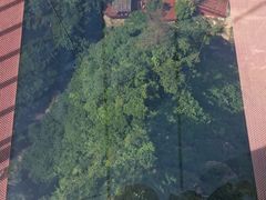 -太湖源风景区
