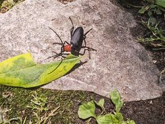 -南山风景名胜区