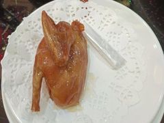 -乐和餐饮(活力源店)