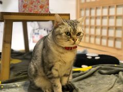 -小时光咖啡馆(开森度假森林店)