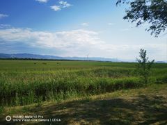 -野鸭湖国家湿地公园