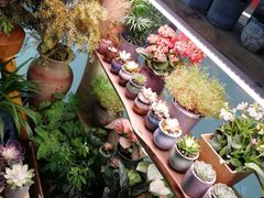 -十二舍·湯物素煮(江泰潤政店)