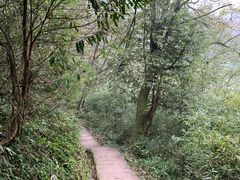 景点-青城后山