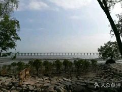 -宝安西湾红树林湿地公园