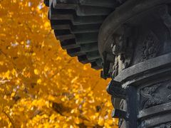 -龙华素斋(龙华路店)