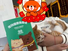 -中农国际动物医院24小时·猫科·骨科·急重症中心