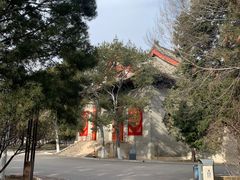 -中央民族大学