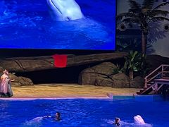-海合安武汉极地海洋公园