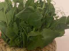 -老版火锅.12年西安排队王(沣峪口店)