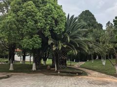 -云南民族村