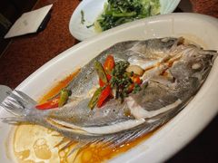 -绿茶餐厅(华联万柳店)