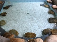 -御池园(顾村公园店)
