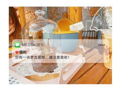 -喵屿·大理花园猫咖