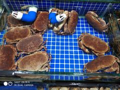 -板桥海鲜广场(文明东店)