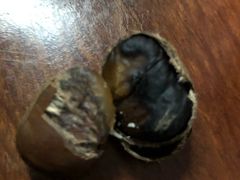 -阿男野栗王(金门路店)