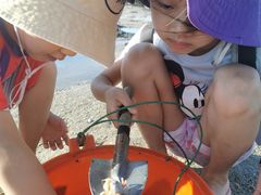 -北海金海湾红树林生态旅游区