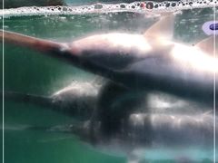 -漓江又一軒·广西菜·桂林米粉(梅林店)