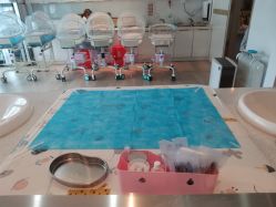 -禧月荟S月子中心(侨城店)