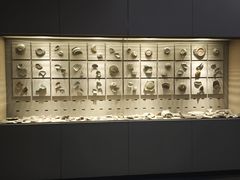 -龙泉青瓷博物馆