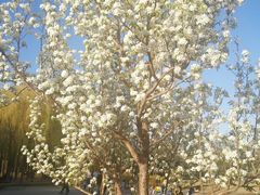 -长春公园(普阳街道)