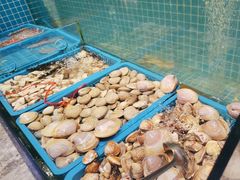 -曼格活海鲜·牛排自助(光明蓝鲸店)