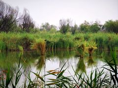 -处女泉风景名胜区