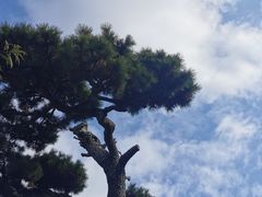 -中村藤吉(本店)