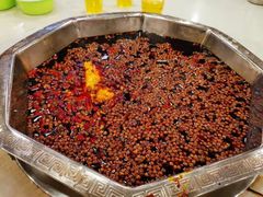 朱氏鲜毛肚-朱氏胖子烂火锅(洪崖洞店)