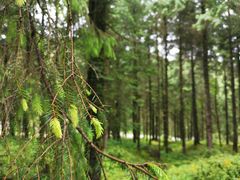 -硗碛藏寨·神木垒景区